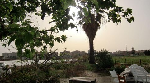 Foto 5 de Finca rústica en venta en Camí de Vera, Valencia Capital