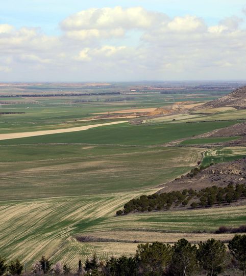 Foto 2 de Terreno en venta en Carretera Variant 245, 3112, Vilamarina, Viladecans