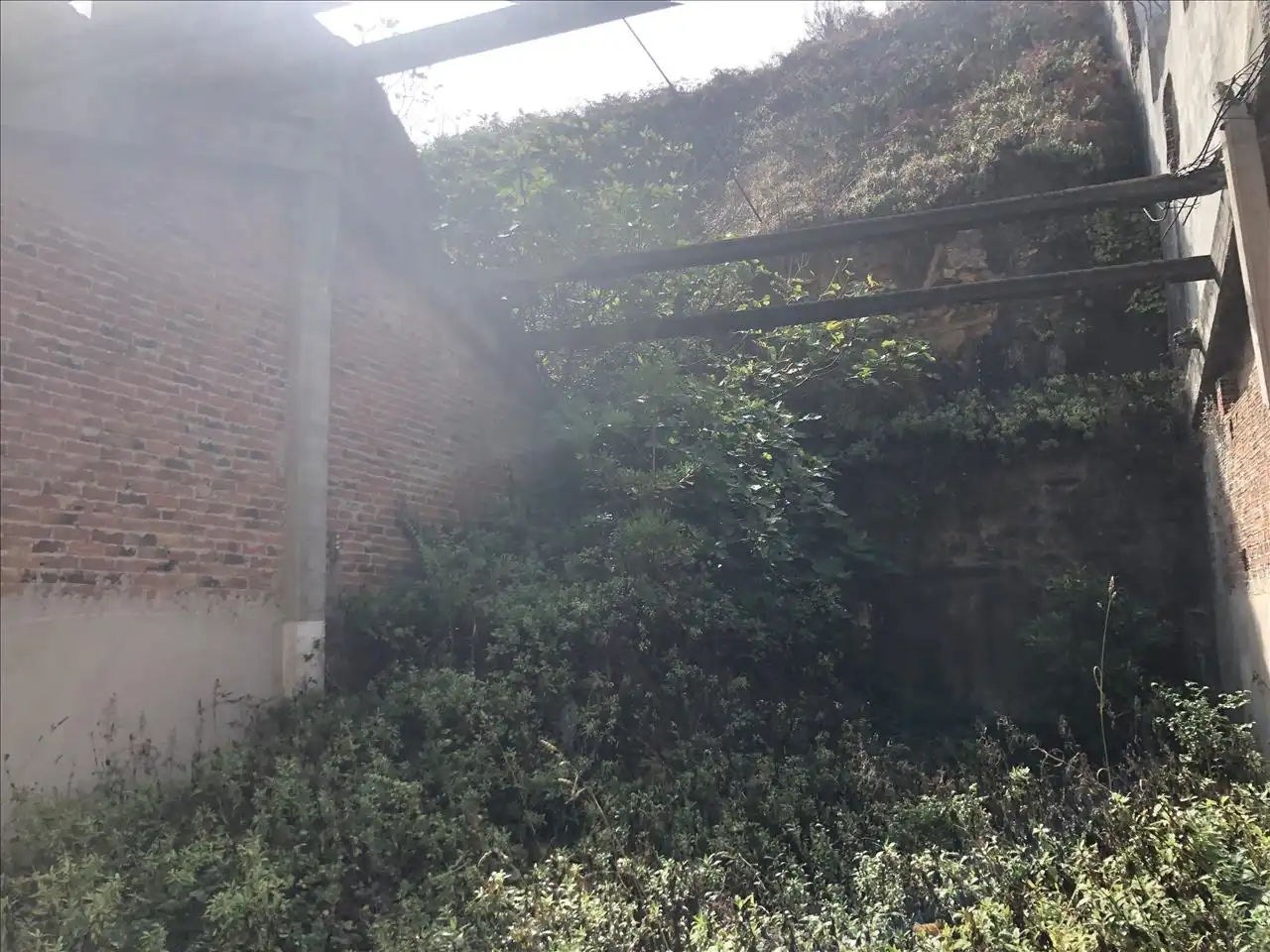 Terreni e lotti in vendita a Emilio Gonzalez Lopez, imagen 14