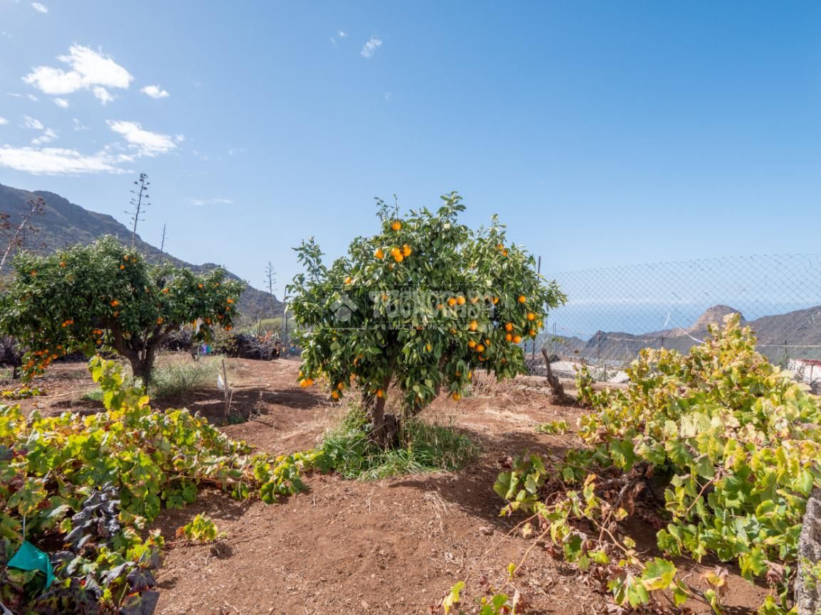 Finca rústica en venda en Santiago del Teide