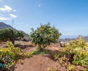 Country house for sale in Santiago del Teide