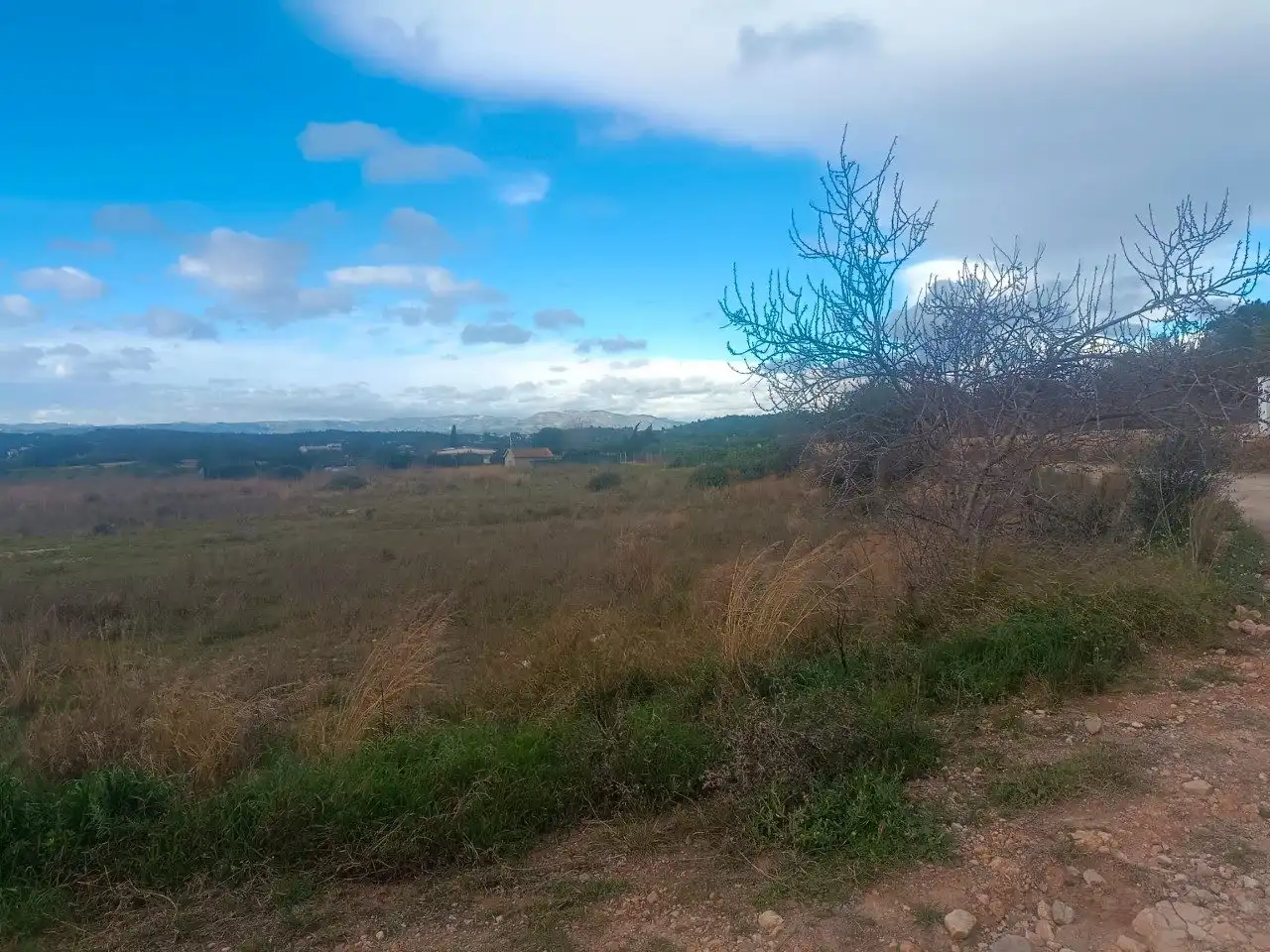 Terreno residenziale in vendita a Cheste, imagen 4