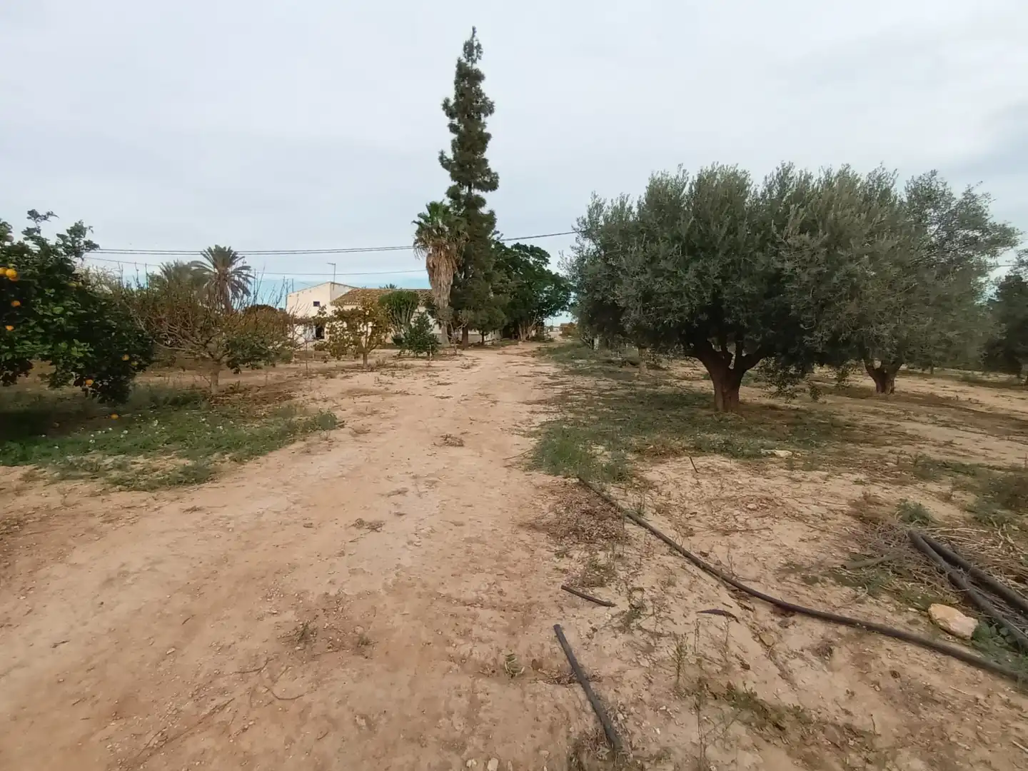 Houses for sale in Torre-Pacheco  with Storage room