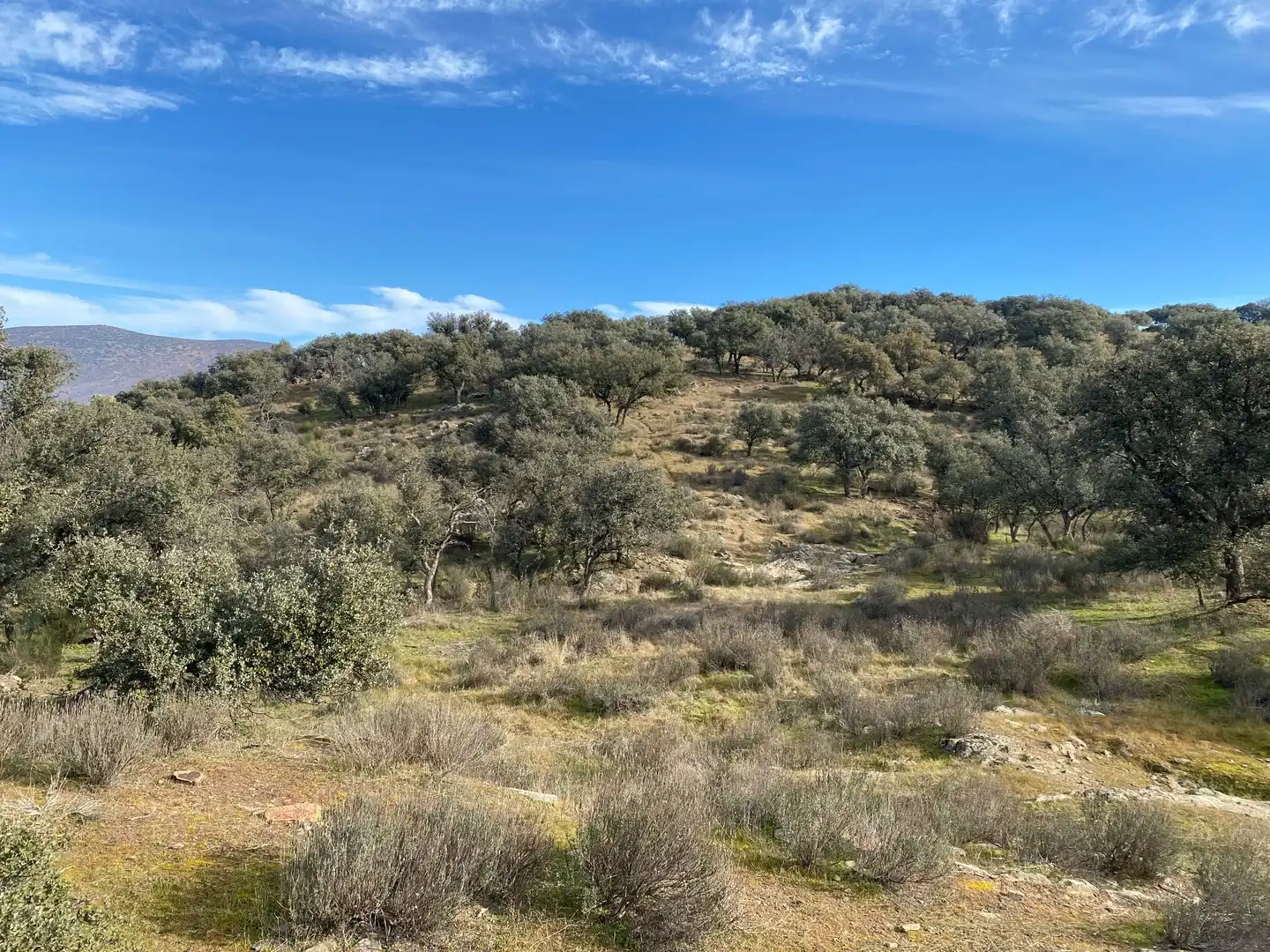 Grundstücke zum Verkauf in La Estrella