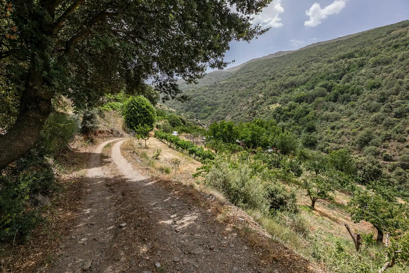 Terreni e lotti in vendita a Majadillas, imagen 43