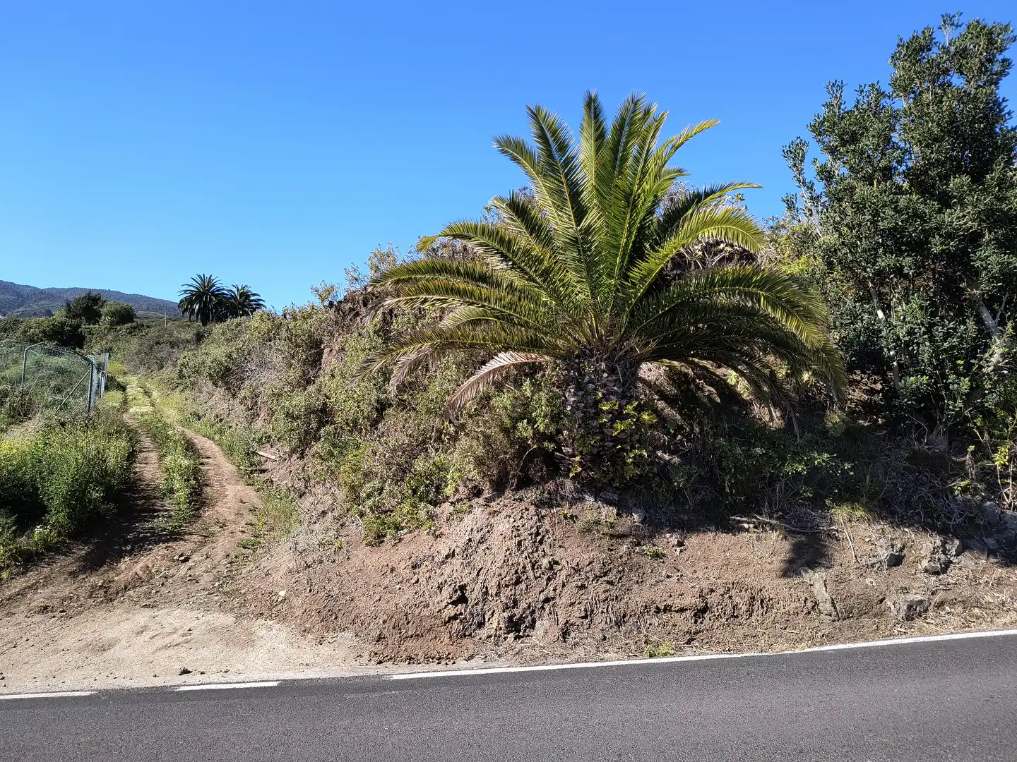 Terreny rústic en venda a Carretera General Ochocientos Veinte 76, imagen 29
