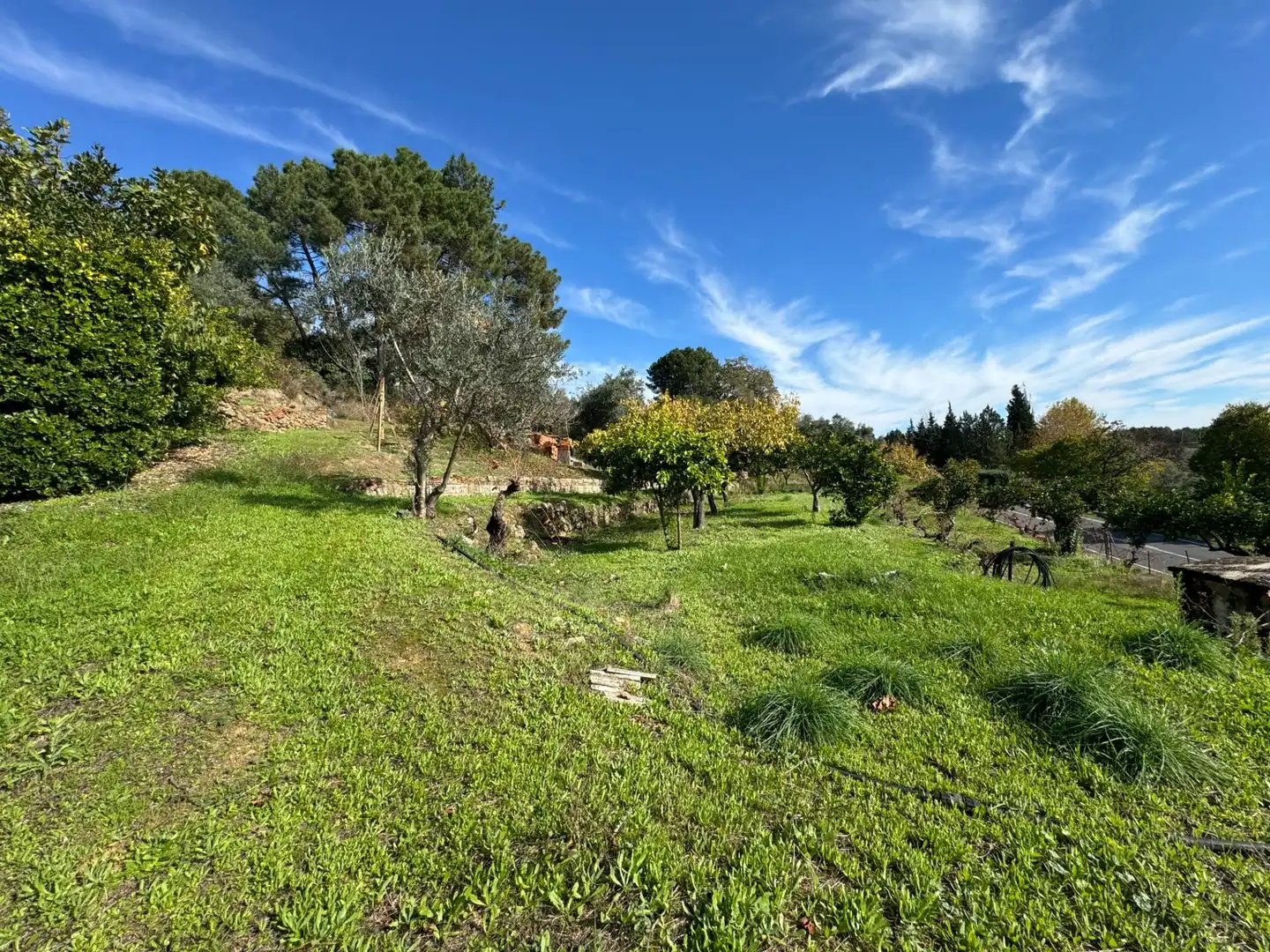 Finca rústica en venta en Candeleda con Jardín privado