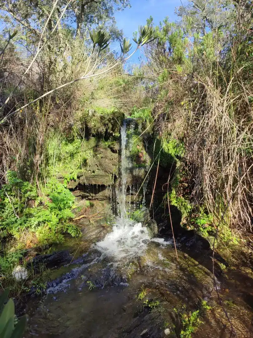 Vista exterior de Finca rústica en venda en Berrocal amb Jardí privat, Traster i Piscina