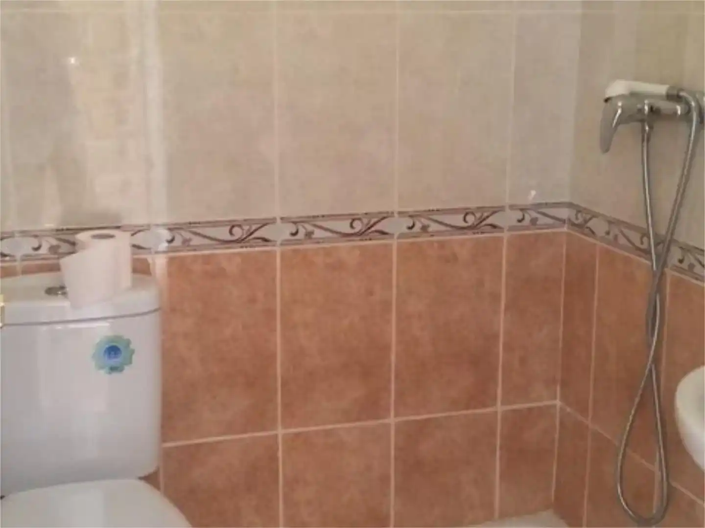 Bany de Casa o xalet en venda en Los Navalucillos