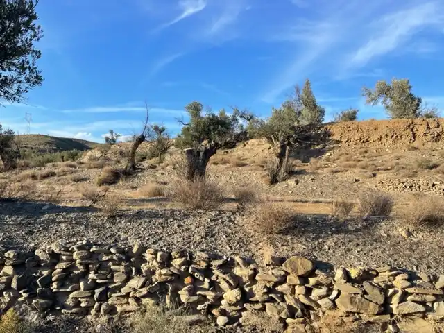 Terrenys i solars en venda a Abla, imagen 4