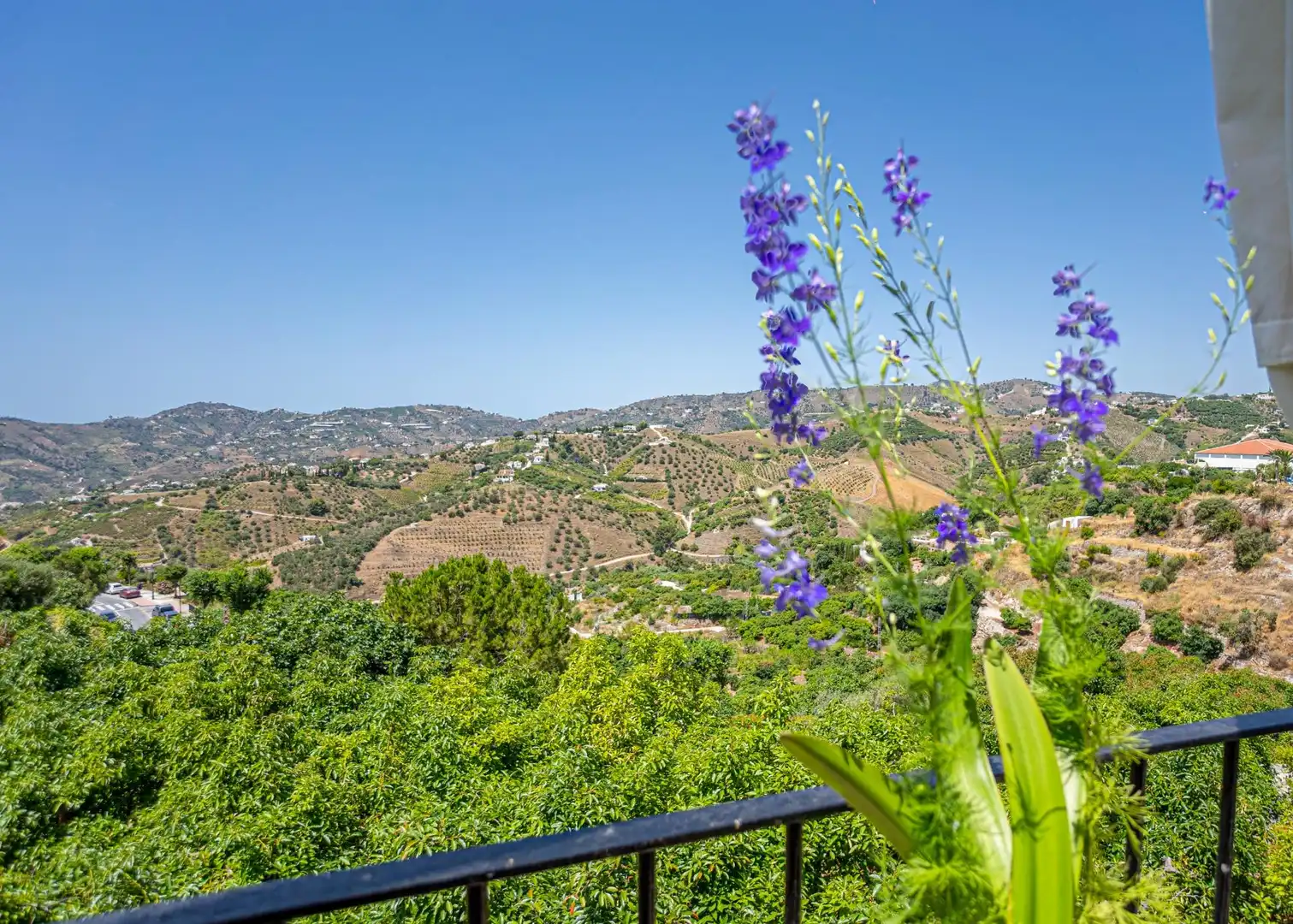 Vista exterior de Casa o xalet en venda en Frigiliana amb Aire condicionat, Calefacció i Jardí privat
