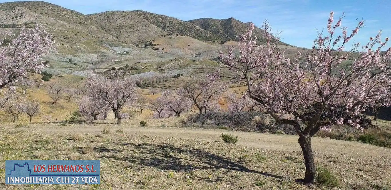 Vista exterior de Finca rústica en venta en Vélez-Rubio
