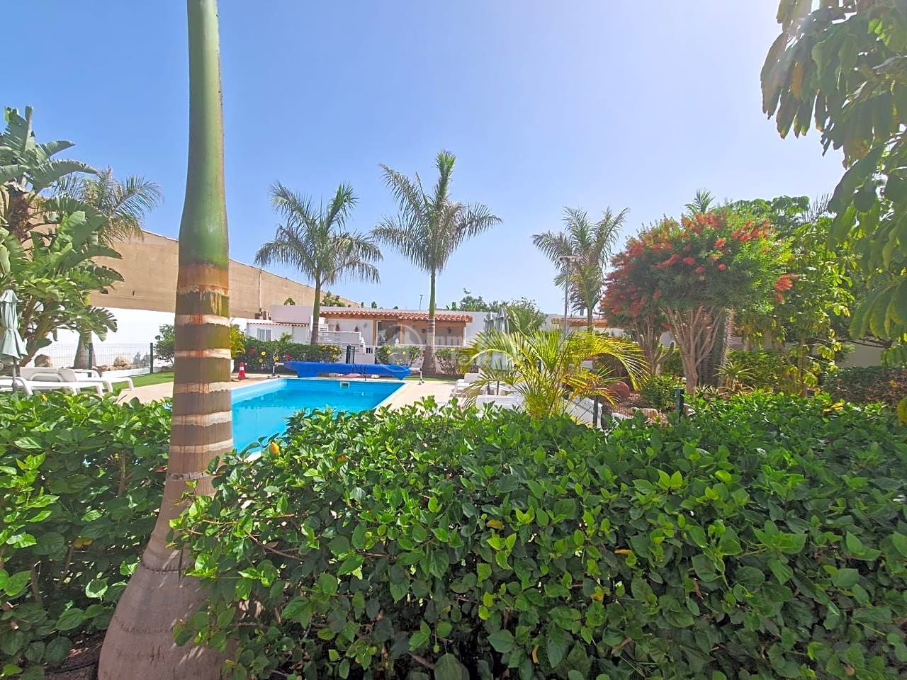 Planta baja to rent in El Fraile