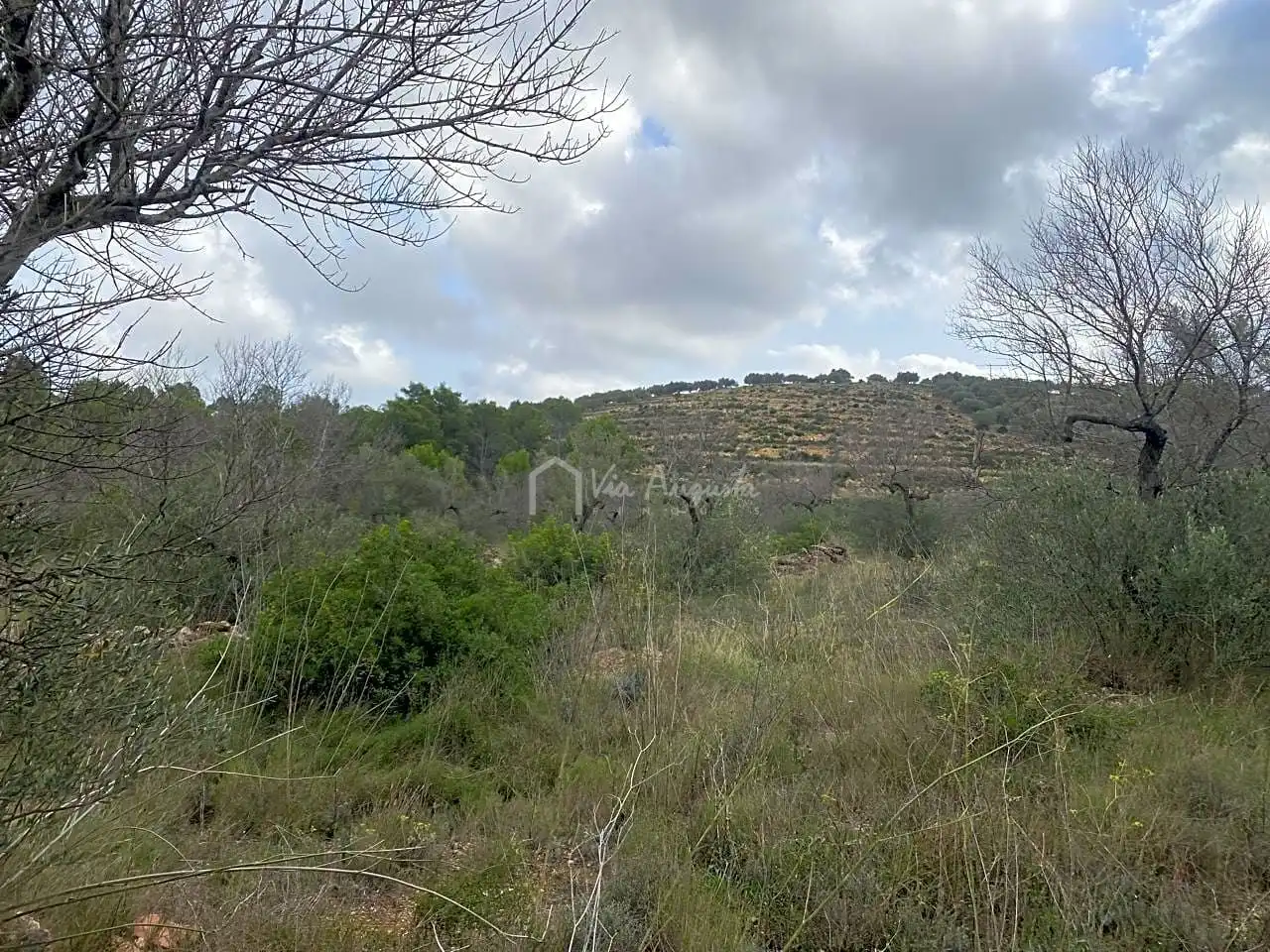 Terrain rustique à vendre à Bordes, imagen 9