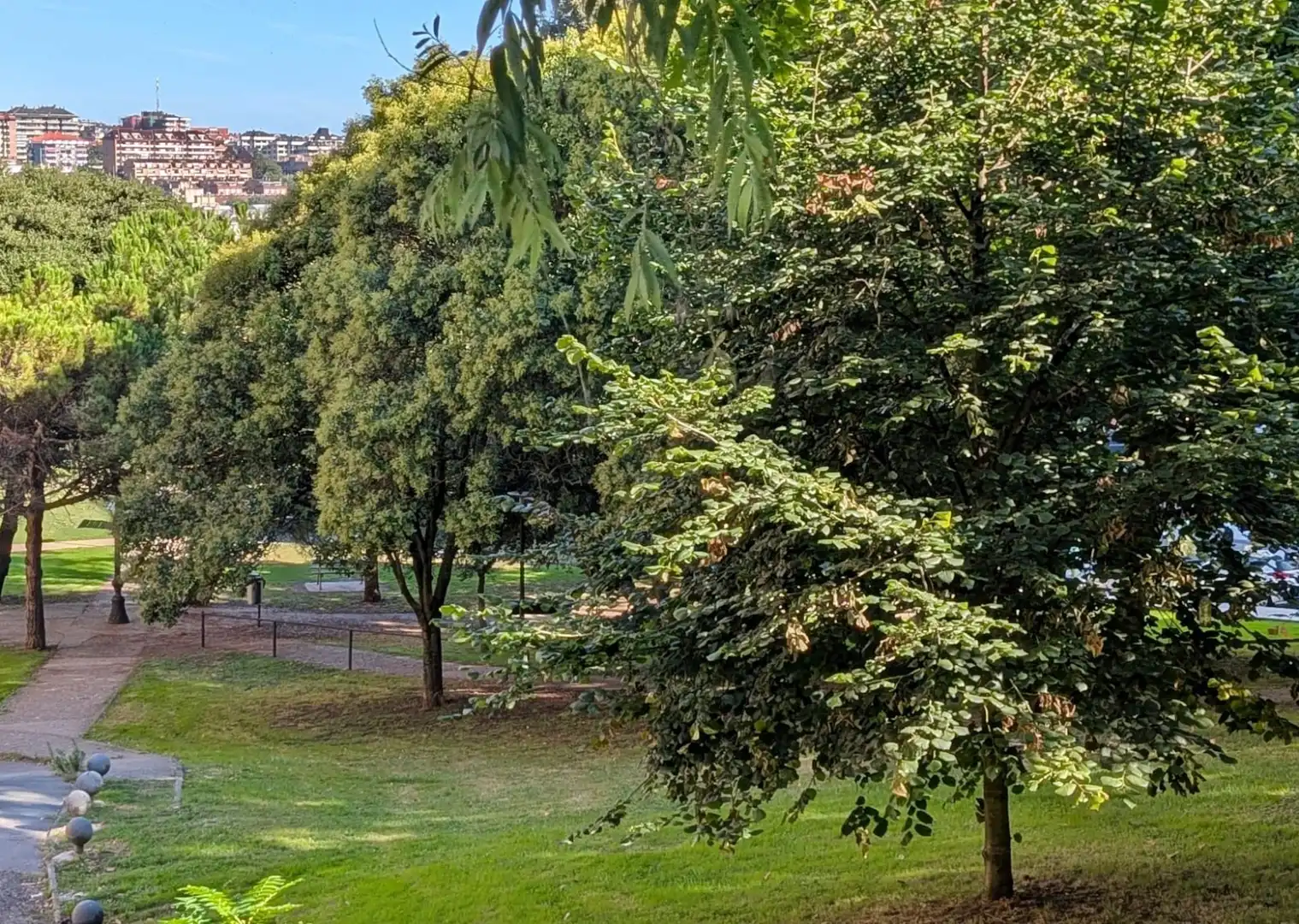 Local commercial à vendre à Santander - AVENIDA UNIVERSIDAD, imagen 18