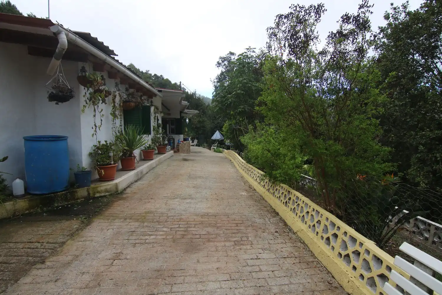 Finca rústica en venda en Valleseco