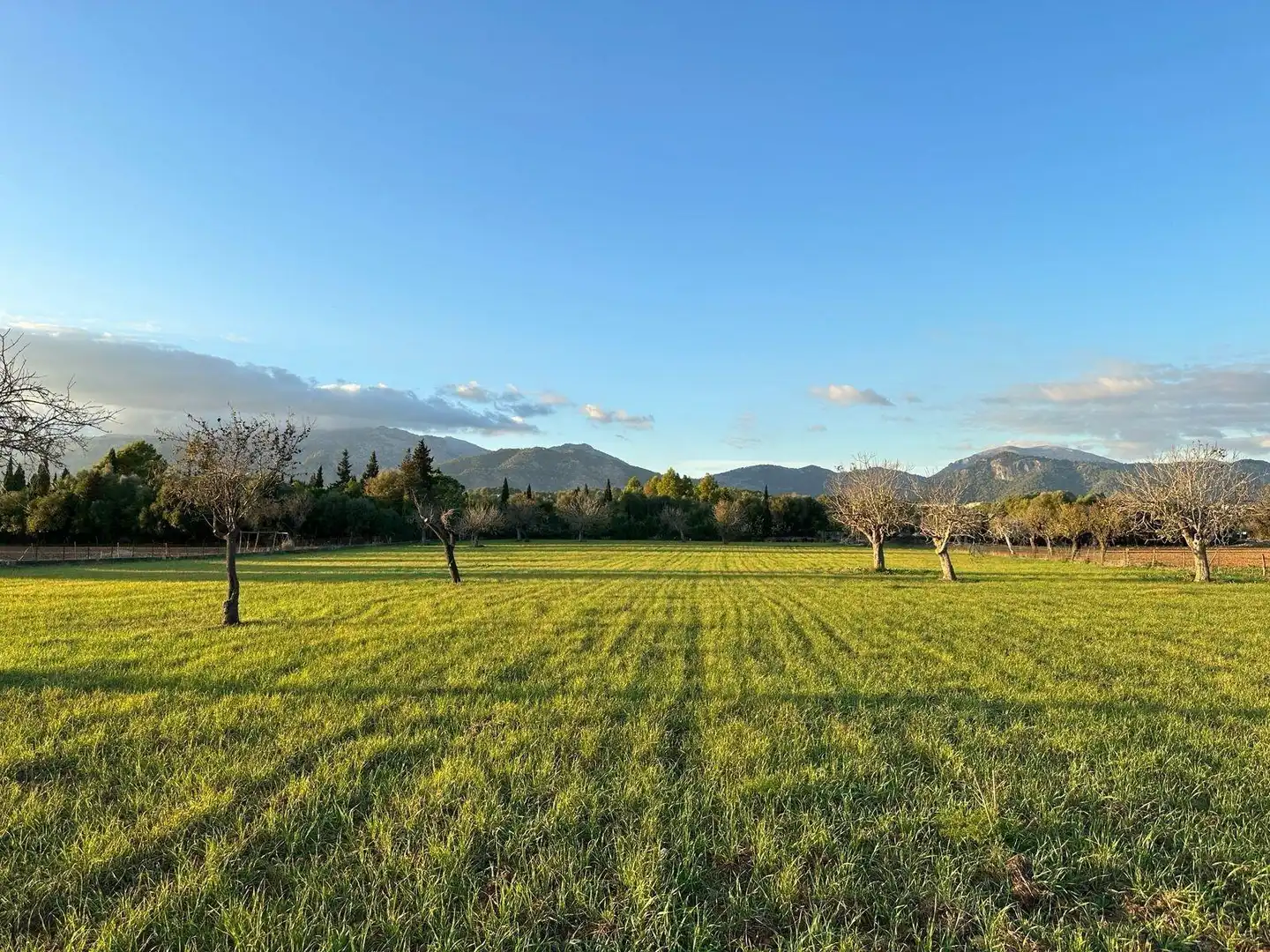 Terreno residenziale in vendita a Camino Selva, imagen 14
