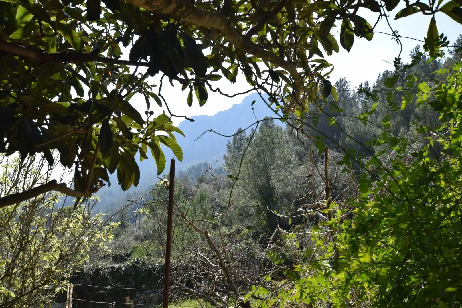 Vista exterior de Casa o xalet en venda en Alfara de Carles amb Terrassa, Traster i Piscina