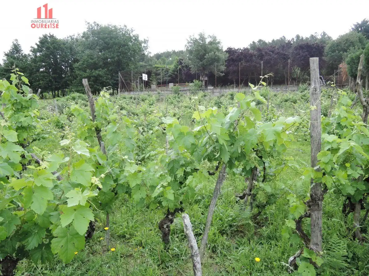 Terrenys i solars en venda a O Pereiro de Aguiar, imagen 2
