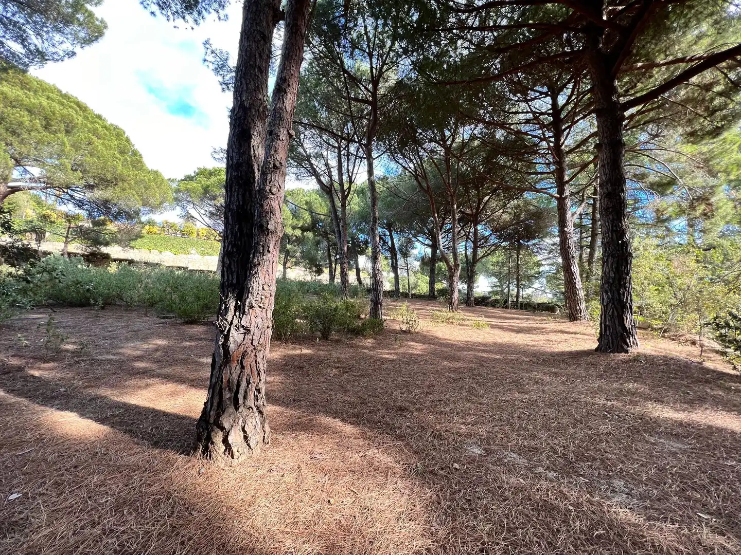 Haus mit Pool zum Verkauf in Supermaresme, imagen 25