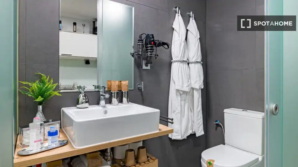 Wohnung zur Miete in Madrid, Madrid