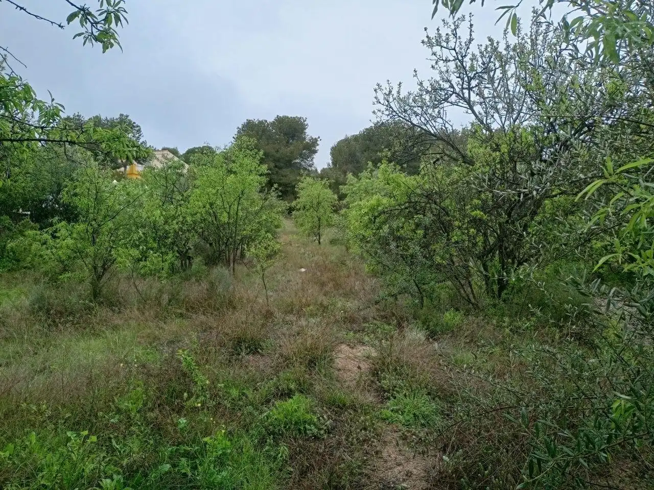 Terreny residencial en venda a Casinos