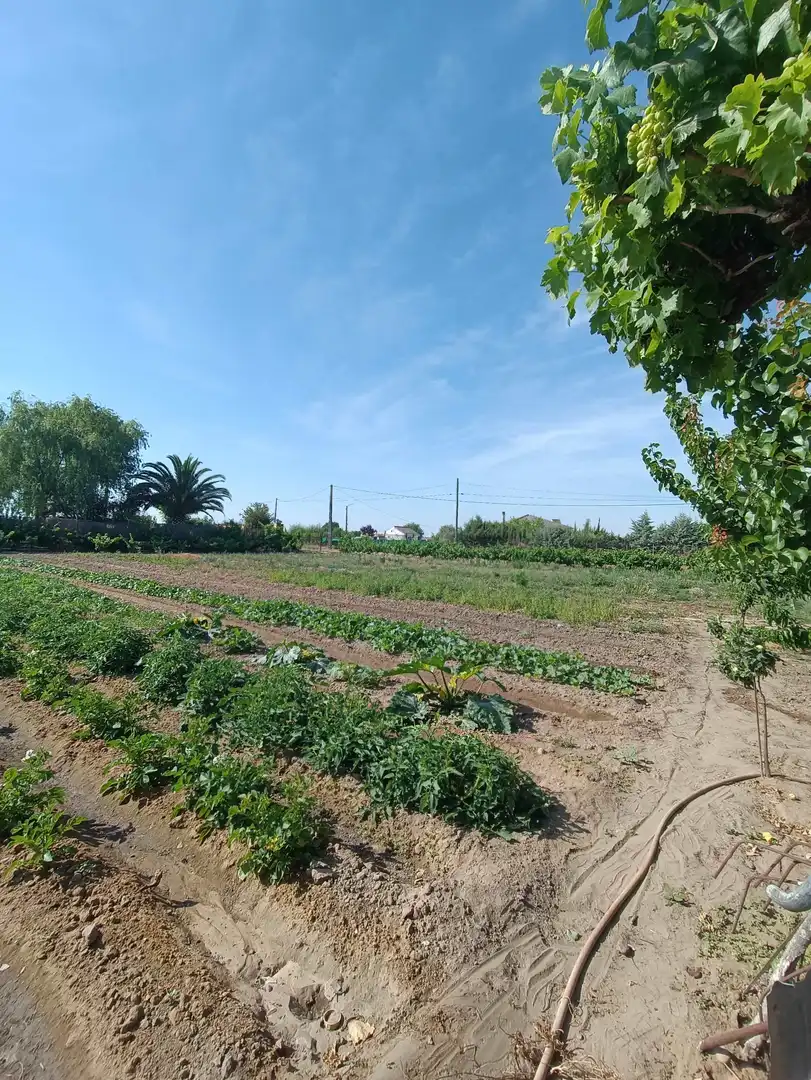 Xalet amb jardí en venda a Don Benito, imagen 14