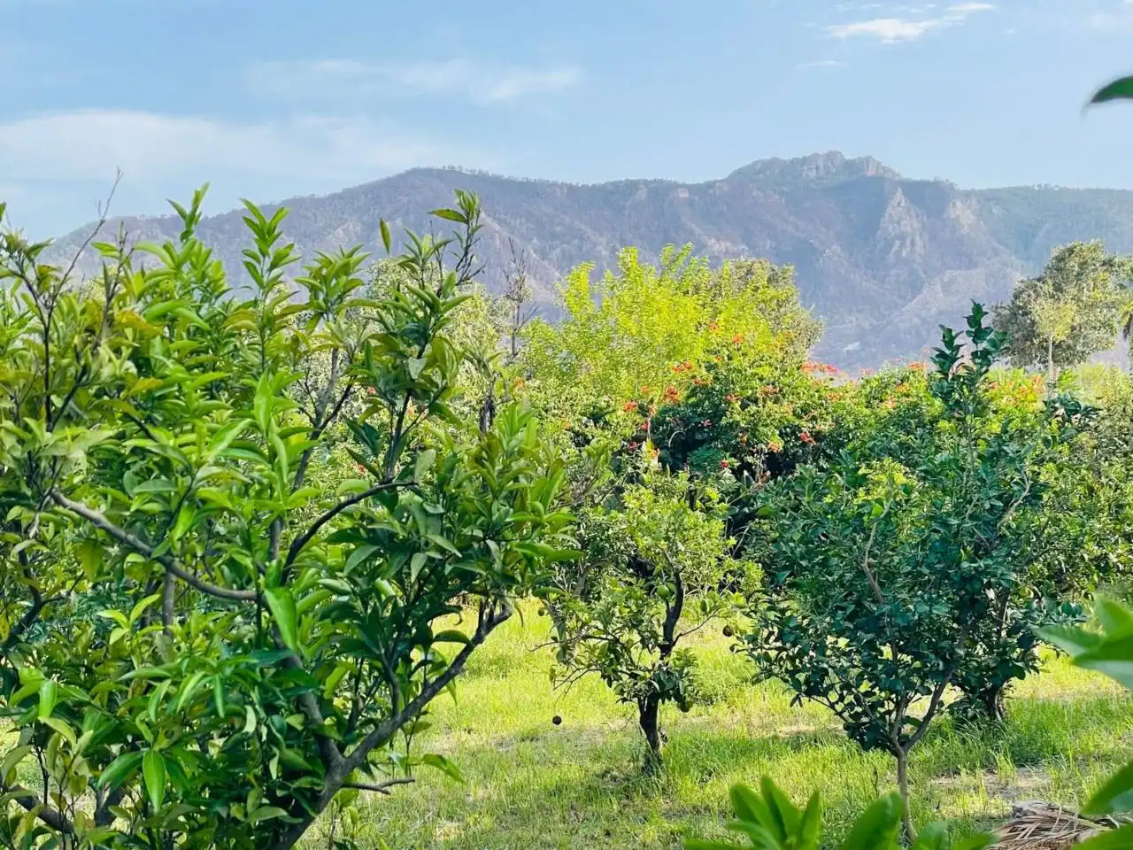 Casa o xalet en venda en Murcia amb Aire condicionat, Calefacció i Jardí privat