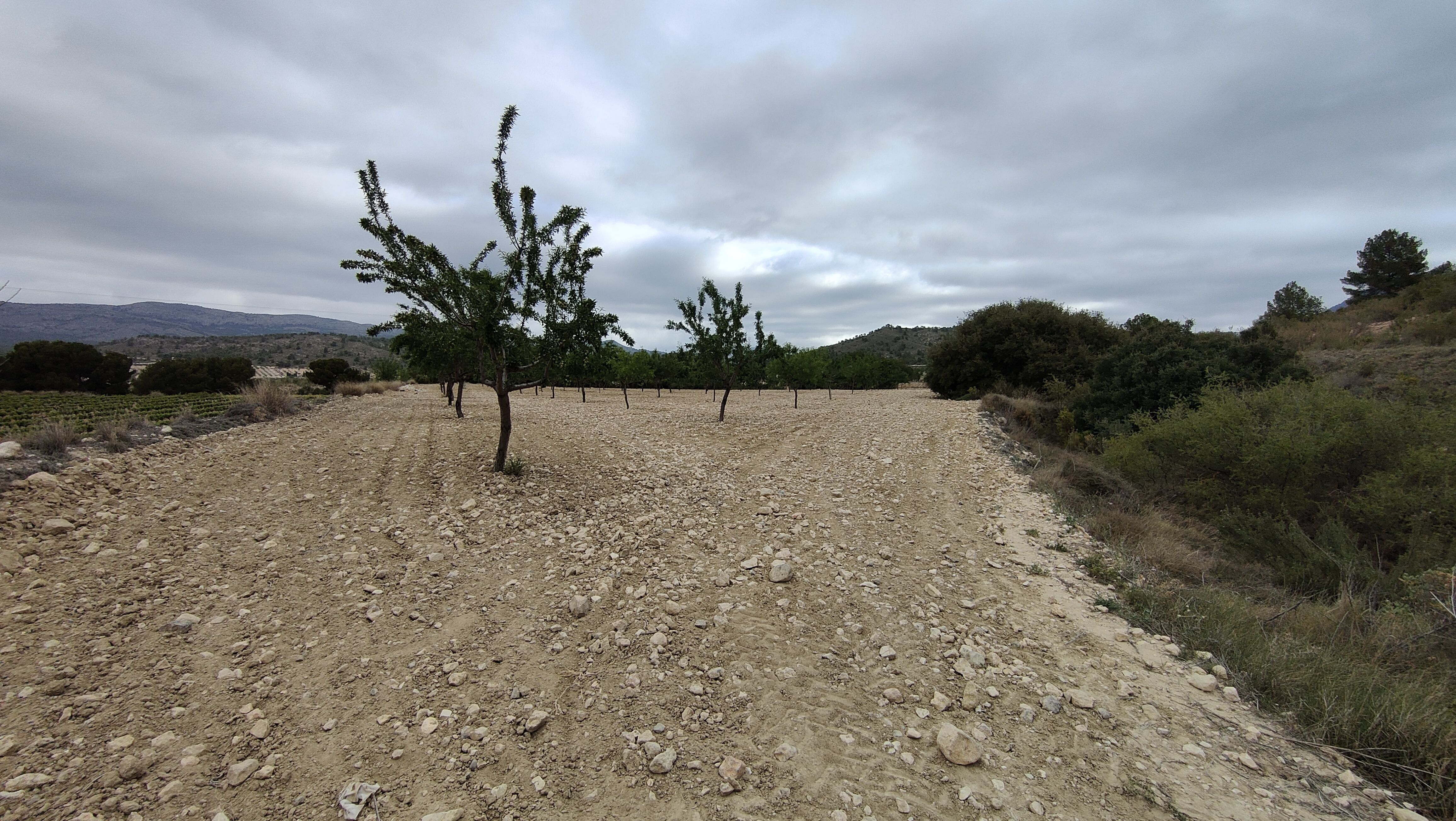 Terreno en venta en Sax