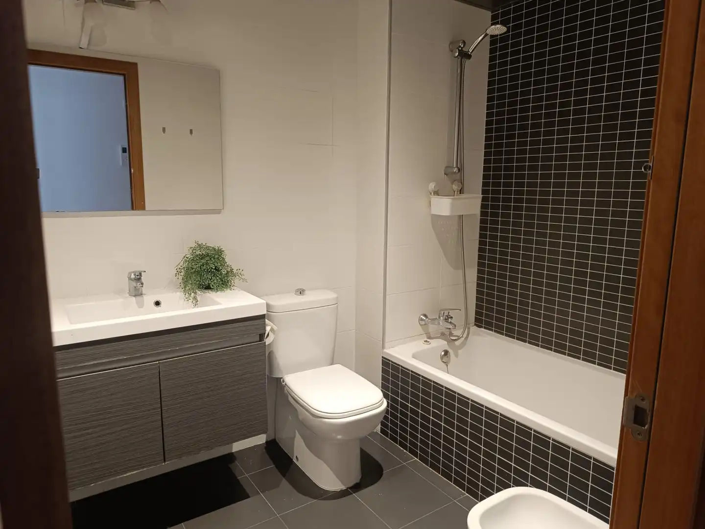 Flat for rent in Nou Eixample Sud