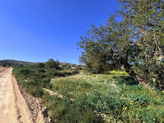 Terreno residencial en Venta en Moralet