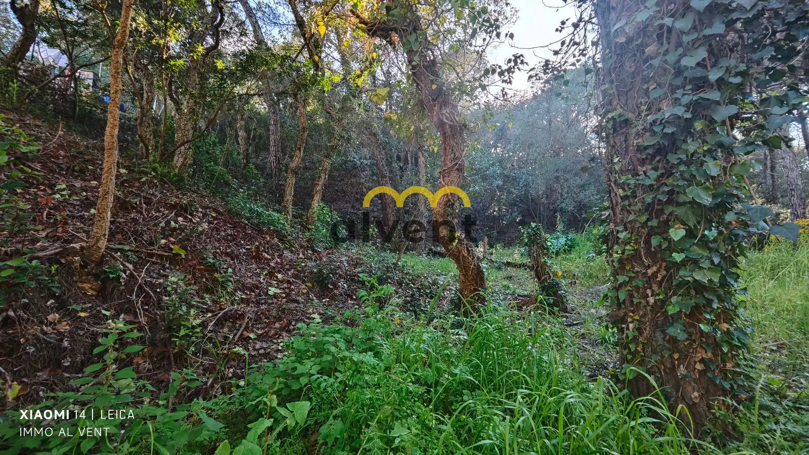 Rural land for sale in Manxa, imagen 25
