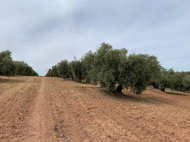 Terreno en Venta en Jauja