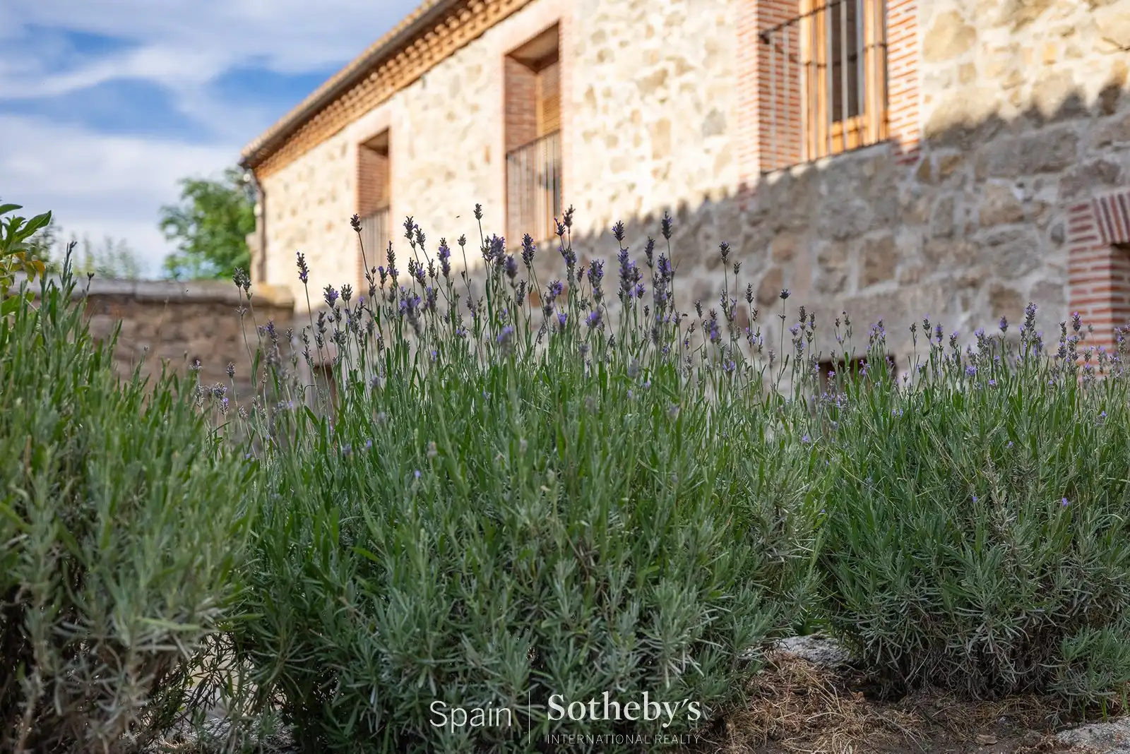 Jardín de Residencial en venta en Riofrío
