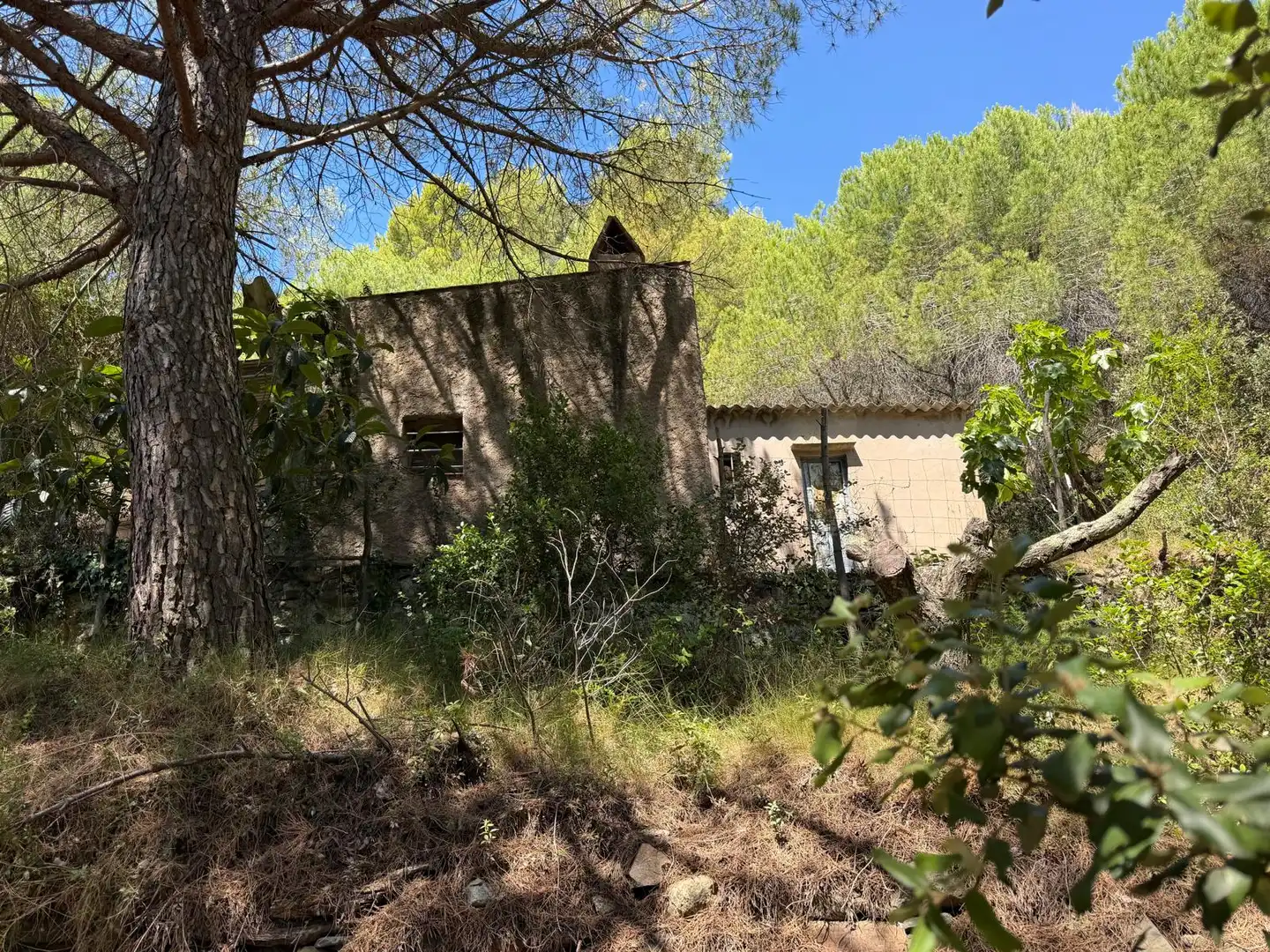 Country house with pool for sale in Cami de La Pedrera, imagen 26