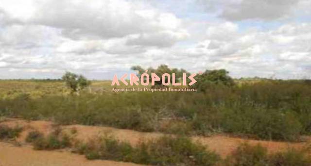 Terreno en Venta en Corrales del Vino