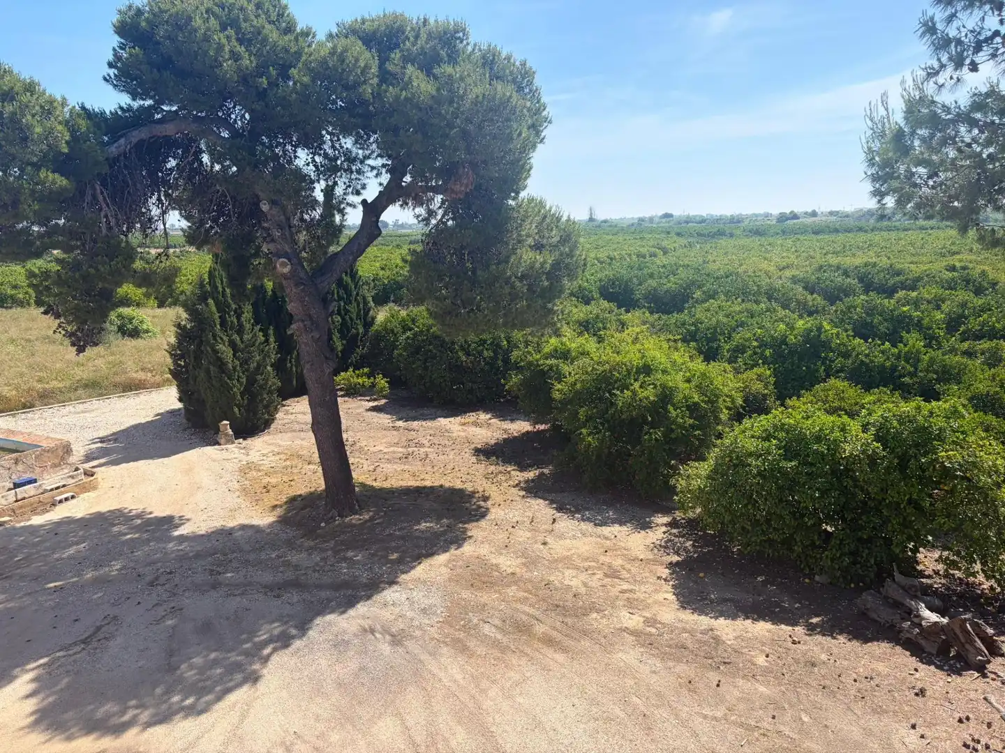 Finca rústica en venta en Oliva