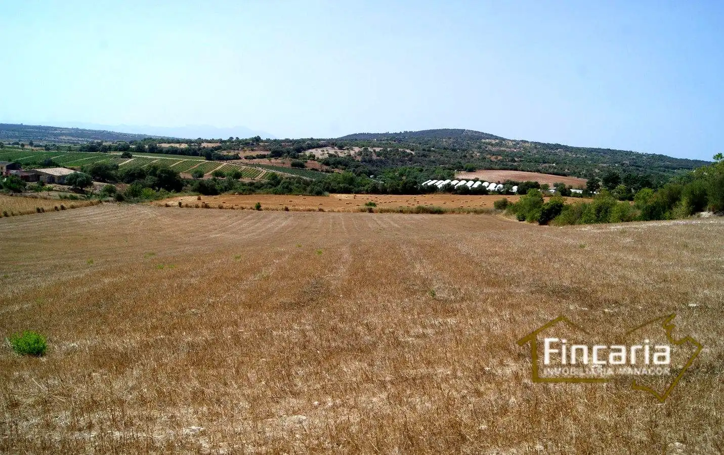 Terrenys i solars en venda a Camí de sa Murtera, imagen 16
