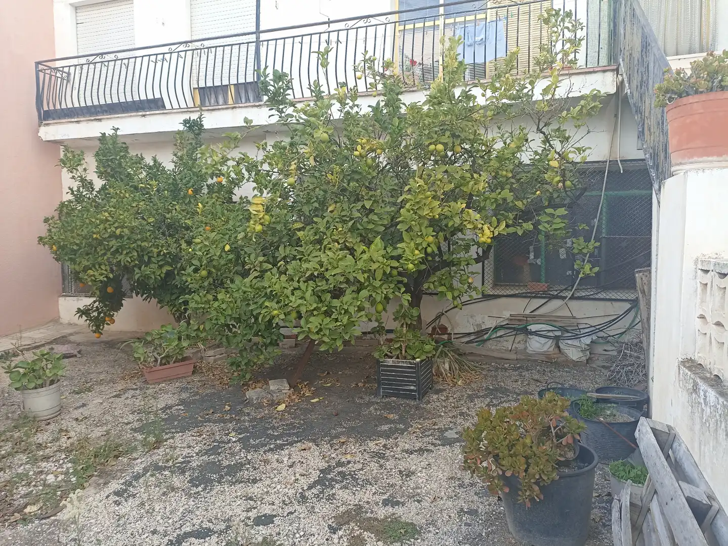 Country homes for sale in Carrer la Santa, Tibi