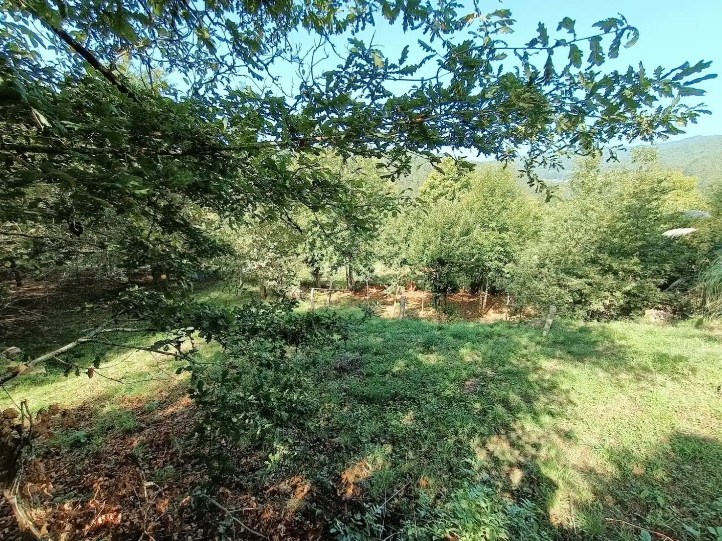 Casa o xalet en venda en Padrenda