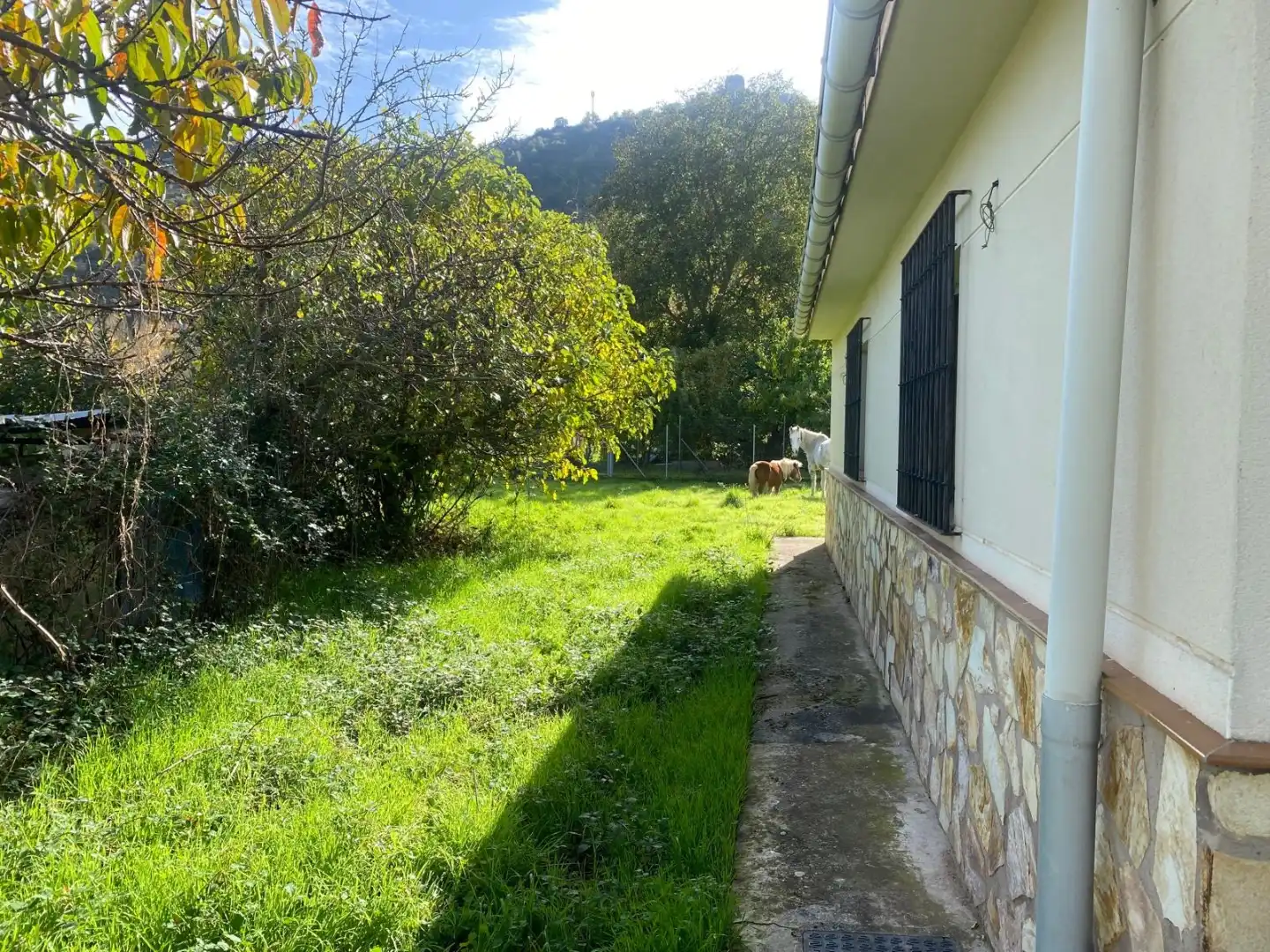 Xalet amb jardí en venda a Pedro Sagasta 48, imagen 18