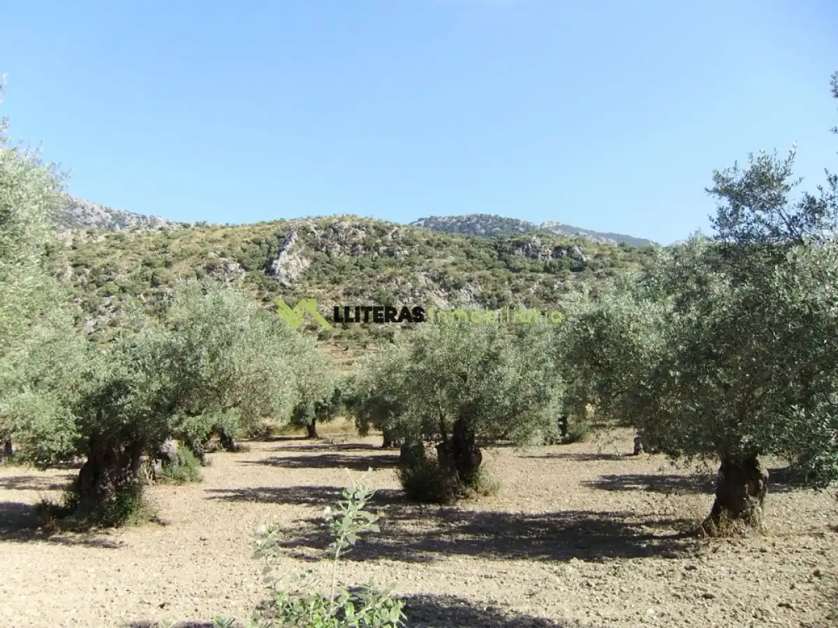 Country house for sale in Bunyola, imagen 4