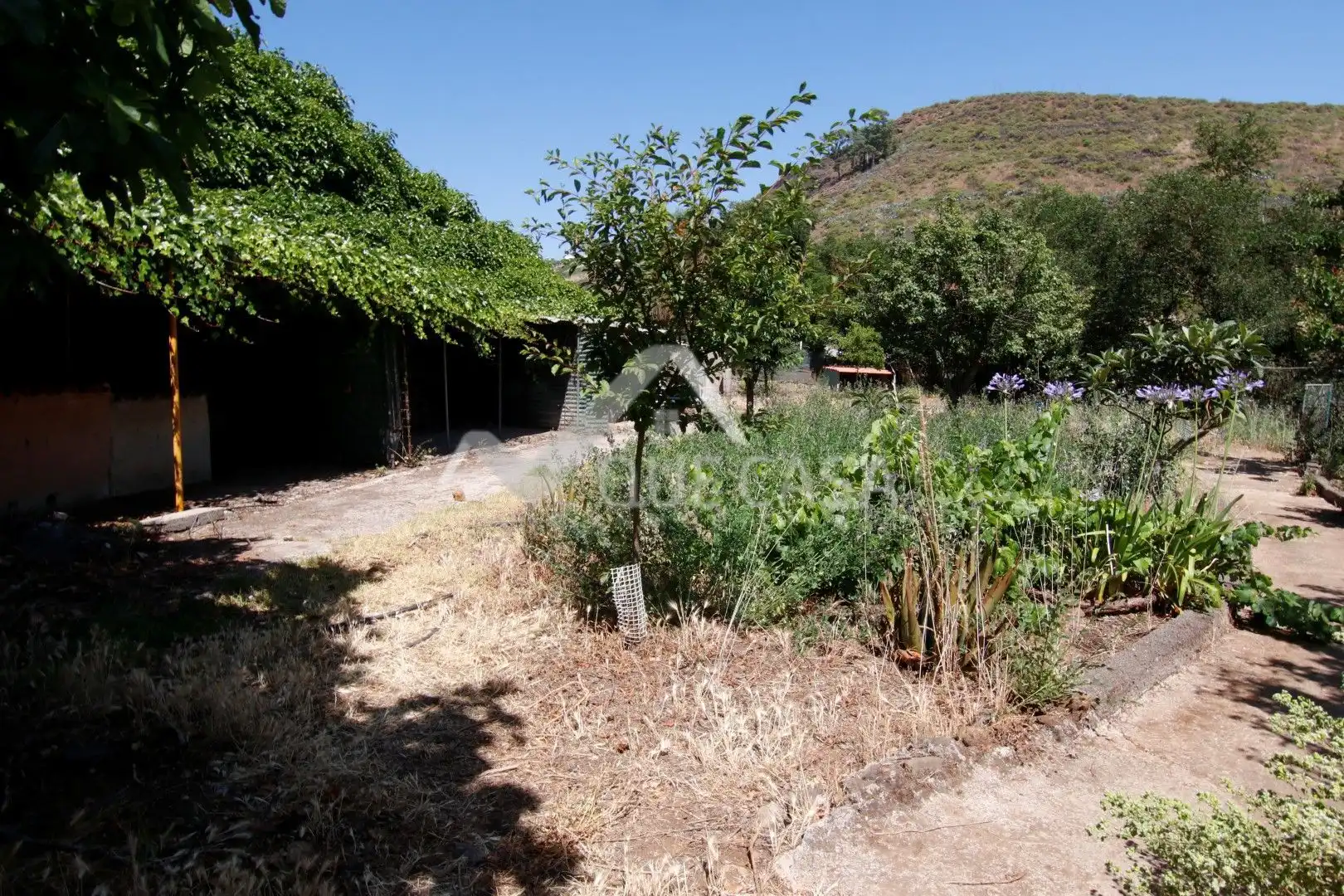 Terreno en venta en Vega de San Mateo