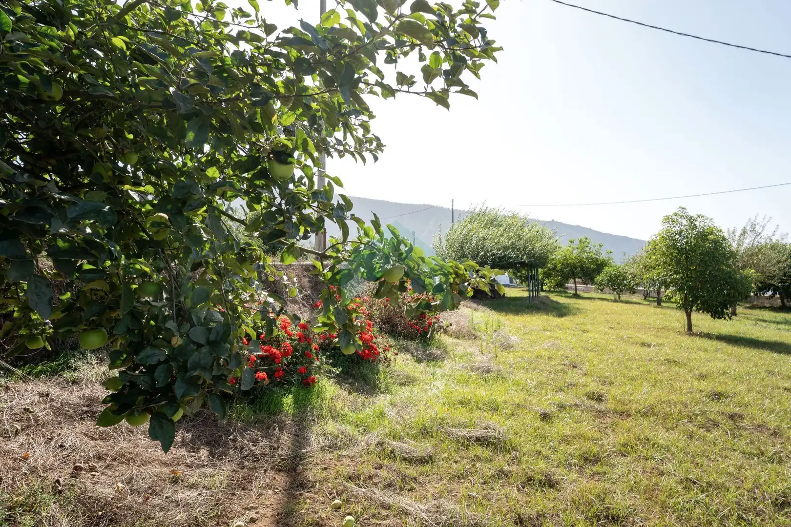 Jardí de Casa o xalet en venda en La Orotava amb Jardí privat, Terrassa i Moblat