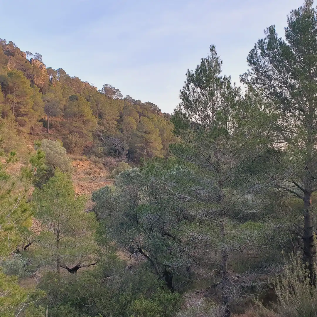 Rustikales Grundstück zum Verkauf in El Pinell de Brai, imagen 2