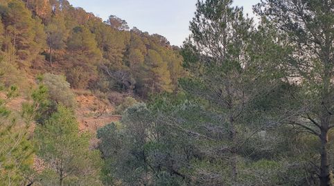 Suelo agrícola en venta en El Pinell de Brai, immagine 2