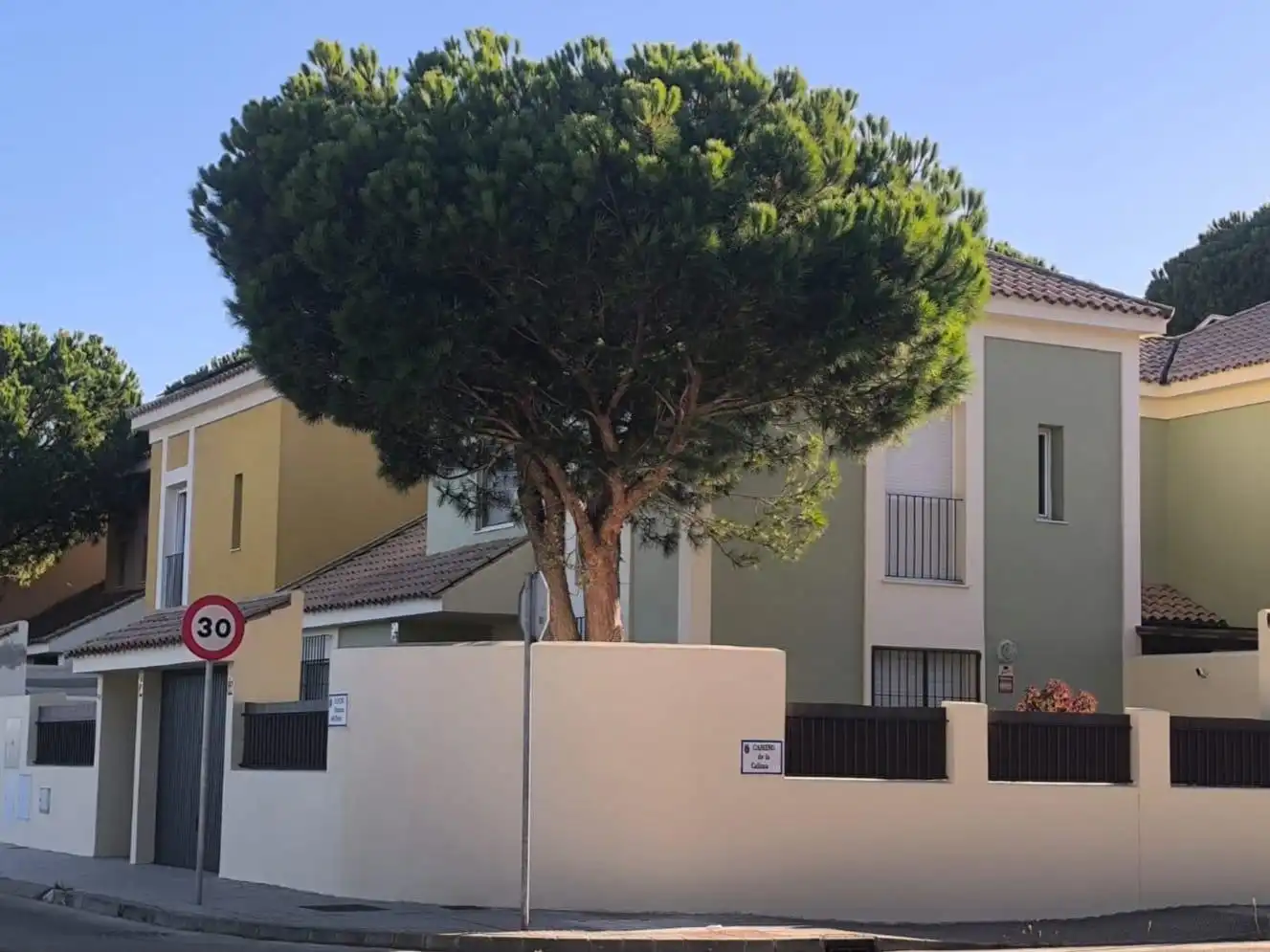 Detached homes for sale in Las Lagunas - Campano