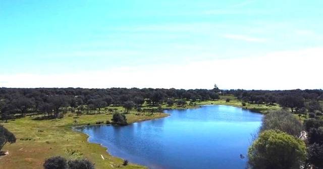 Terreno en Venta en Terrenos Polígono en Tiétar