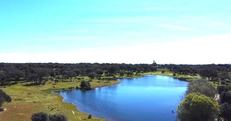 Terreno en venta en Tiétar