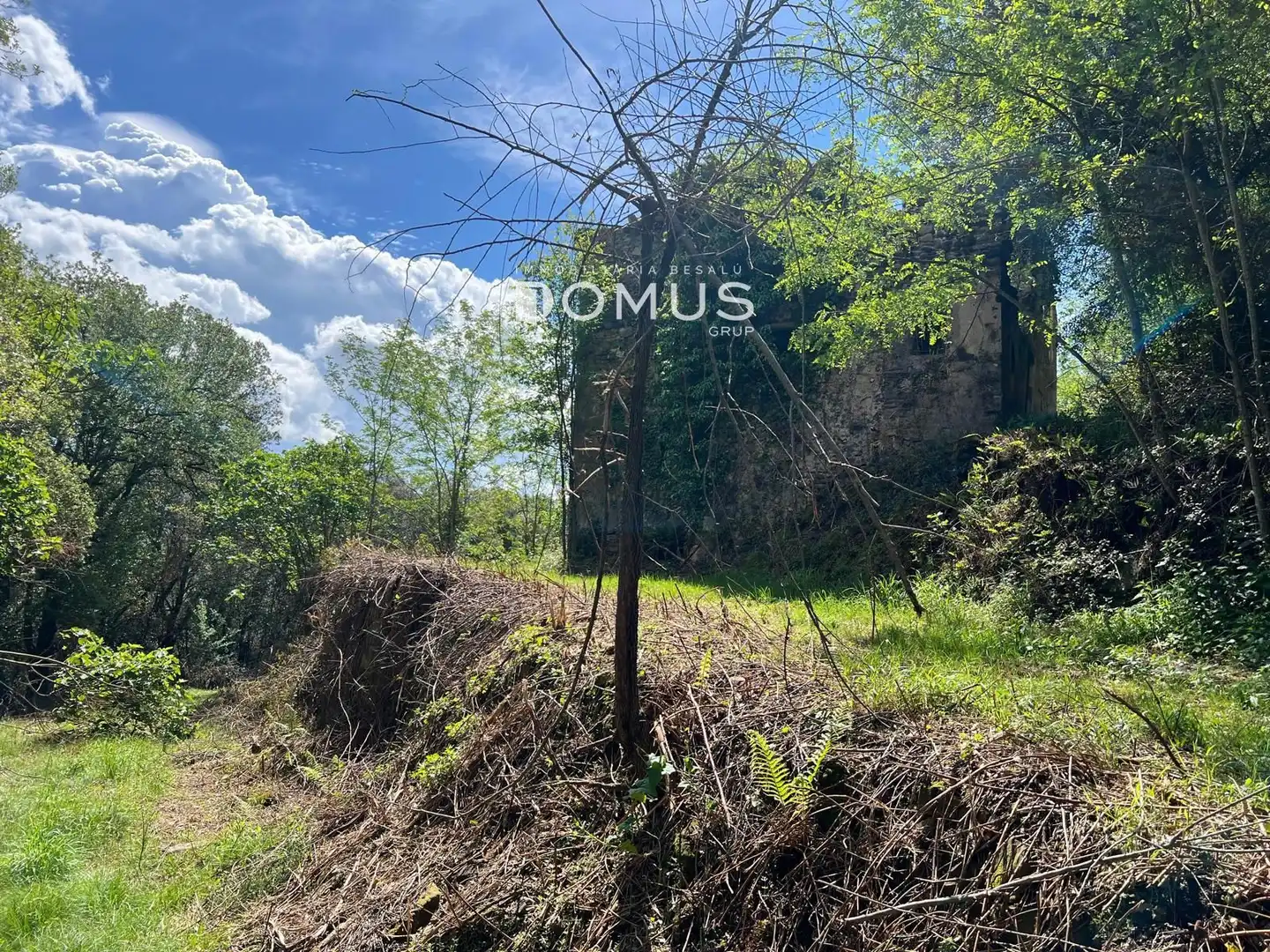Finca rústica en venta en Sant Joan Les Fonts